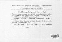Image Associated With the Occurence